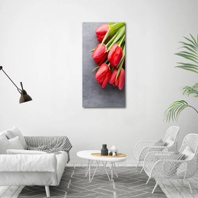 Foto obraz na szkle Czerwone tulipany