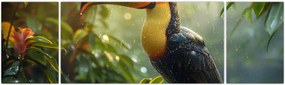 Obraz - Tukan (170x50 cm)