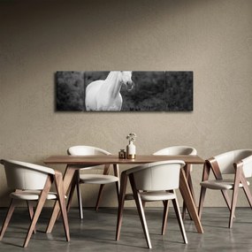 Obraz białego konia na łące, czarno - biały (170x50 cm)