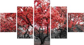 Obraz - Czerwone drzewa, Central Park, New York (125x70 cm)