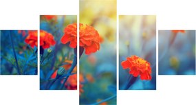 Obraz - Pomarańczowe kwiaty (125x70 cm)