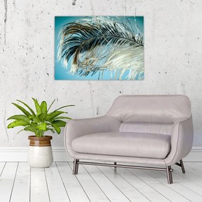 Obraz na szkle - pióro (70x50 cm)