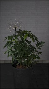 Ogrodowa lampa solarna LED z białymi diodami Star Trading Firework, wys. 100 cm