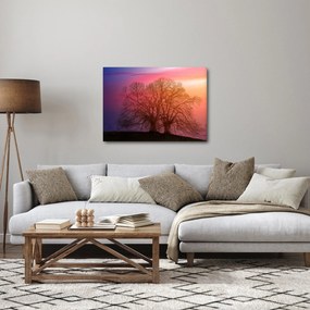 Obraz drzew we mgle (70x50 cm)