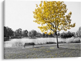 Obraz - Odpoczynek w parku (70x50 cm)