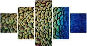 Obraz - Pawie pióra (125x70 cm)