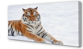 Fotoobraz na płótnie Tygrys w Zimowej Scenerii