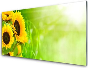 Panel Kuchenny Złociste Słoneczniki Pod Niebem