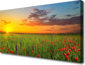 Obraz canvas Słoneczna Polana Kwiatowa