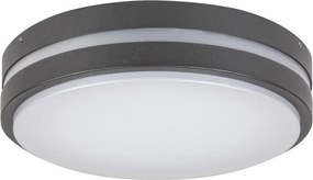 Rabalux 8847 - LED Kinkiet zewnętrzny HAMBURG LED/10W/230V IP44