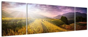 Obraz krajobrazu (170x50 cm)