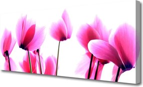 Obraz na płótnie Dzika Łąka Kwiatowa