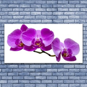 Obraz drukowany na płótnie Kompozycja Świeżych Kwiatów