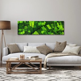 Obraz - Detal liścia (170x50 cm)