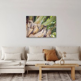 Obraz wiewiórki na drzewie (70x50 cm)