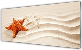 Szkło do Kuchni na Ścianę Rozgwiazda na Złotym Piasku