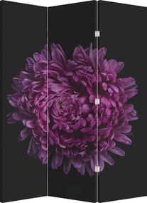 Parawan - Fioletowy kwiat (126x170 cm)