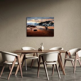 Obraz - Park Narodowy Serengeti, Tanzania, Afryka (70x50 cm)