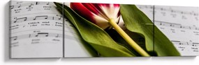 Obraz czerwonego tulipana (170x50 cm)