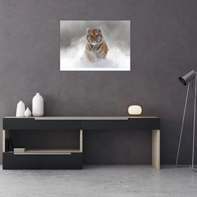 Obraz na szkle - tygrys biegnący po śniegu (70x50 cm)