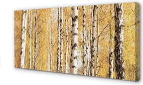 Obraz drukowany na płótnie Jesienne Drzewa