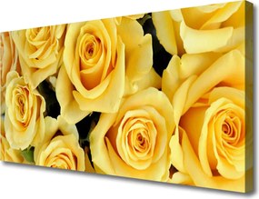 Obraz canvas Królewskie Róże w Ogrodzie