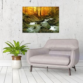 Obraz - Las (70x50 cm)
