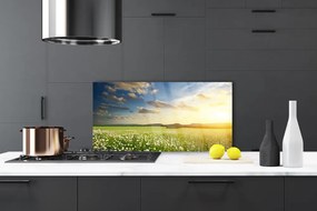 Panel Szklany Barwna Panorama Polnej Łąki