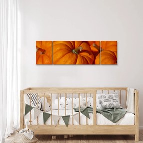 Obraz - Wspaniałe dynie (170x50 cm)