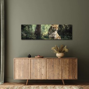 Obraz lisa (170x50 cm)