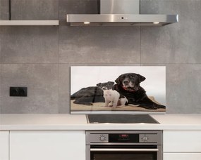 Szklany Panel Odpoczywająca Para Psów