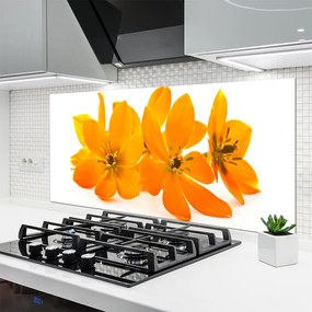 Panel Szklany do Kuchni Pomarańczowa Kompozycja Botaniczna