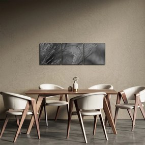 Obraz - Suszona trawa pampasowa (z zegarem) (90x30 cm)