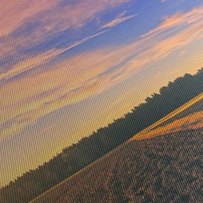 Obraz żółtego samochodu na polu (z zegarem) (90x30 cm)