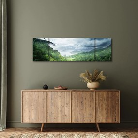 Obraz - Dżungla Seszeli (170x50 cm)