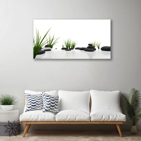 Zdjęcie na płótnie Kamienie w Soczystej Trawie