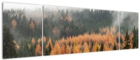 Obraz - Jesienny las (170x50 cm)