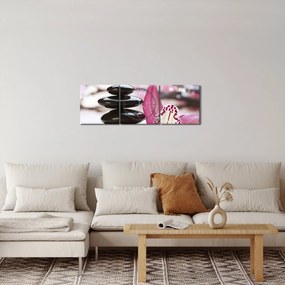 Obraz kamieni do masażu i storczyków (z zegarem) (90x30 cm)