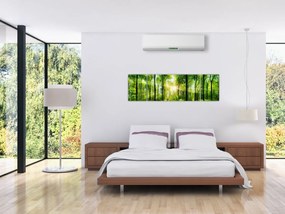 Obraz - Świt w lesie (170x50 cm)