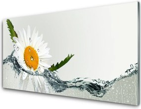 Panel Szklany Biała Stokrotka na Lustrze Wody