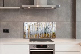 Panel szklany do Kuchni Jesień w Brzozowym Gaju