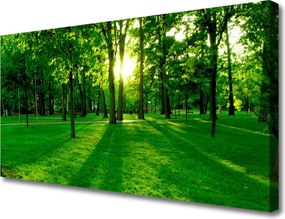 Obraz na płótnie Parkowe Alejki w Słońcu