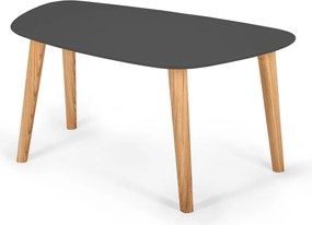 Stolik kawowy w stylu skandynawskim Endocarp Medium