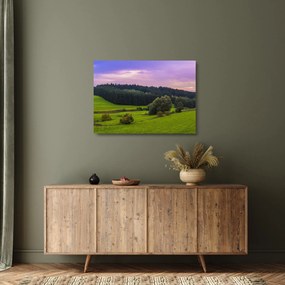 Obraz na szkle - łąka (70x50 cm)