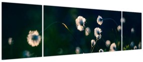 Obraz - Trawa (170x50 cm)
