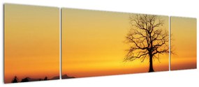 Obraz drzewa na polu (170x50 cm)