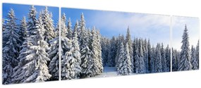 Obraz - Zima w lasach (170x50 cm)