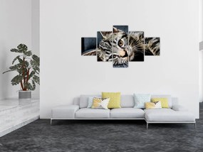 Obraz - Kotek (125x70 cm)