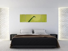Obraz kropli wody na trawie (170x50 cm)