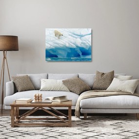 Obraz na szkle - Niedźwiedź polarny (70x50 cm)